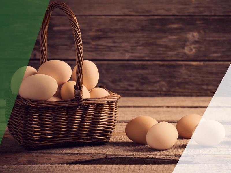 autonomo economicamente dependiente